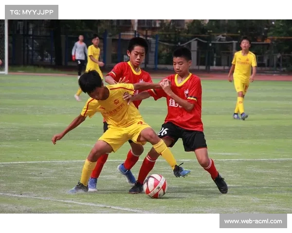 罗马俱乐部启动训练场扩建 青训设施全面升级